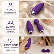 Виброяйцо Akili с пультом набор 2 в 1 USB фиолетовый