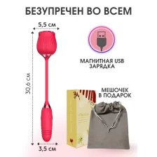 Двойной вибратор Роза