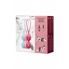 Набор вагинальных шариков Satisfyer Balls C03 Double, Силикон, Ассорти, Ø 3 см