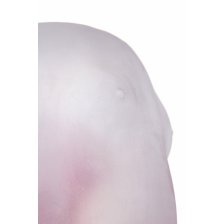 Мастурбатор реалистичный девственница Magic Eyes Sujiman Kupa Lolinco CRYSTAL HARD, TPE, Прозрачный, 16,4 см