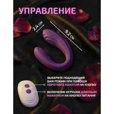 Вибратор для пар, перезаряжаемый, фиолетовый